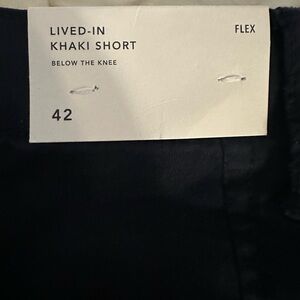 American Eagle Lived in Shorts flex